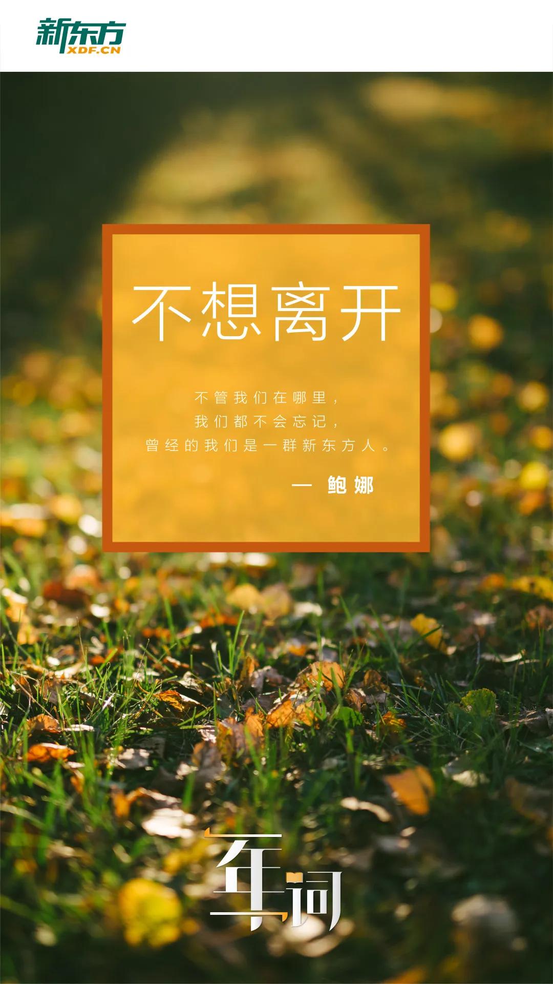 什么叫停用词_停用词的定义_去停用词