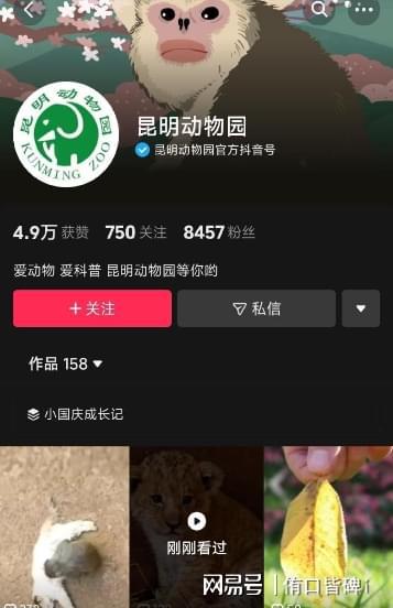 游戏玩家的手机_盘点一家人用的手机游戏_使用手机游戏