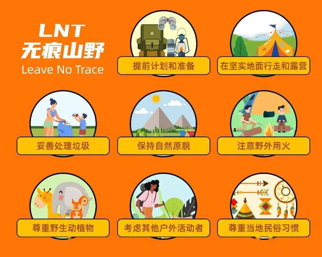 掩体计划和黑域计划_掩体计划_三体掩体计划