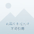 手机版免费最终之刃游戏-手机版最终之刃：免费VS原版，哪个更给力？
