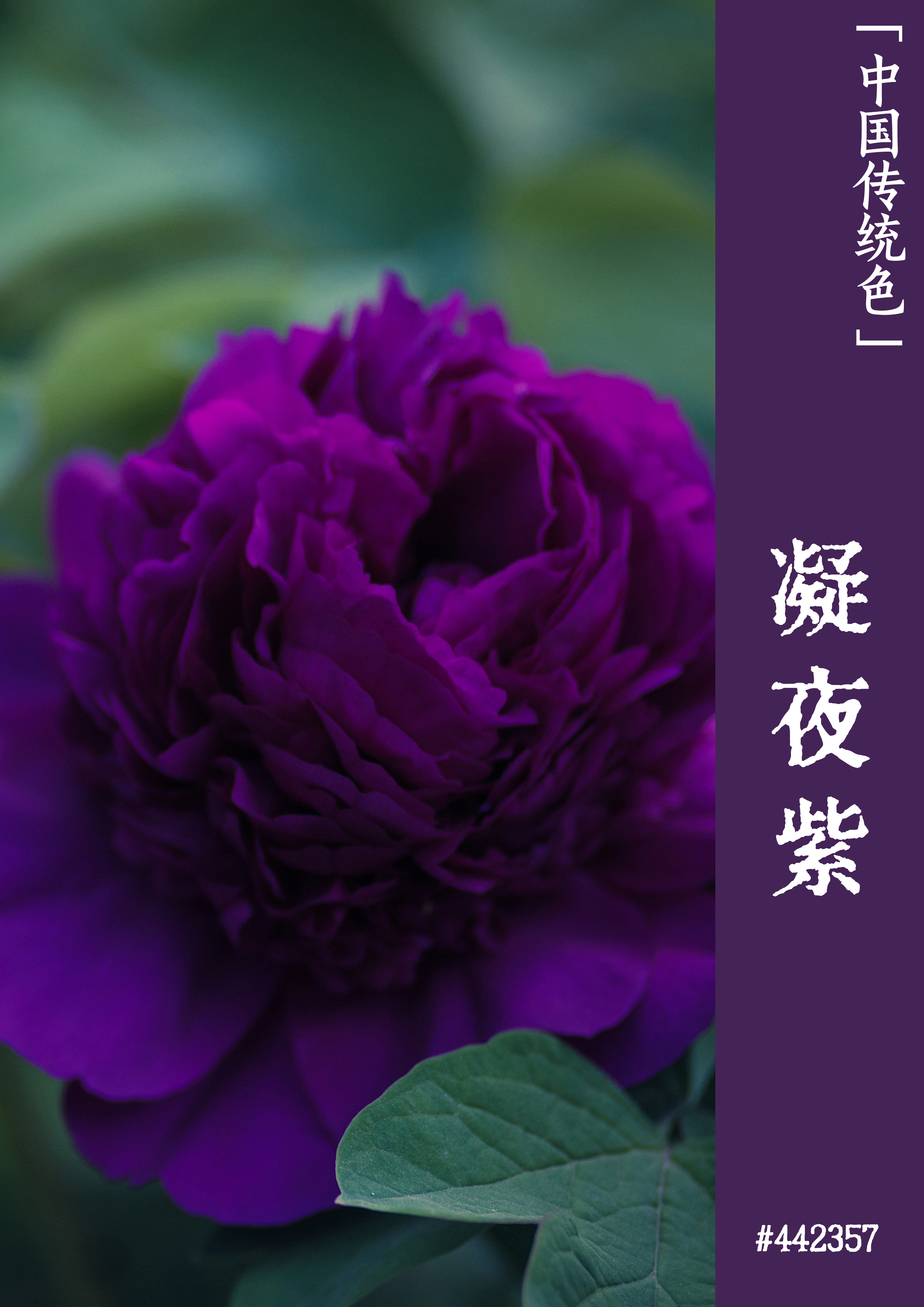 工厂游戏_手机 工厂游戏_手游工厂游戏
