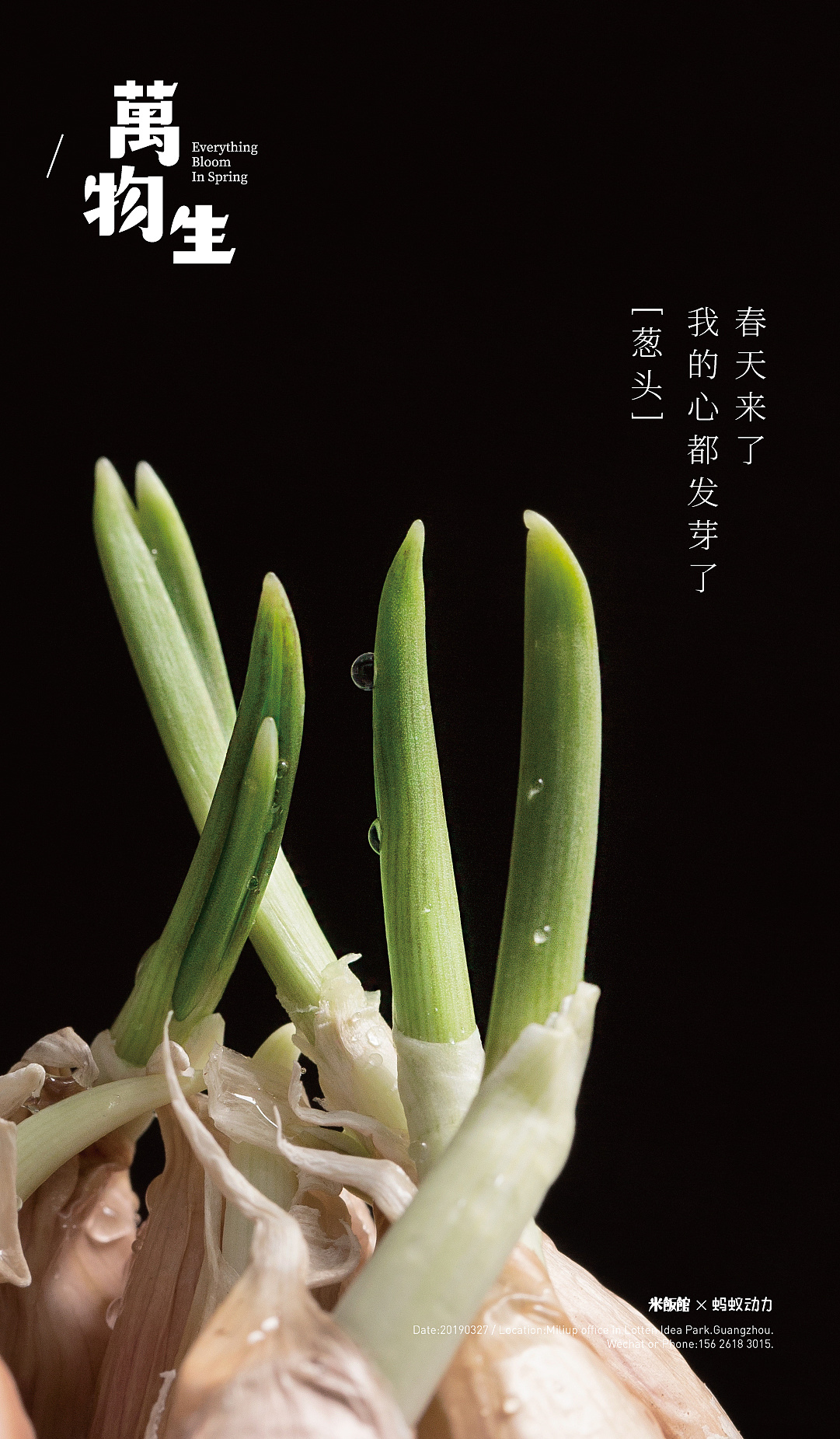 万物潮生的意思是什么_万物潮生_万物潮生公司是干什么的