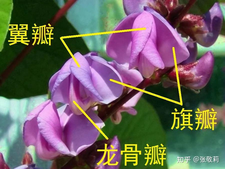 日历表年月日_2022年日历表_日历表年历