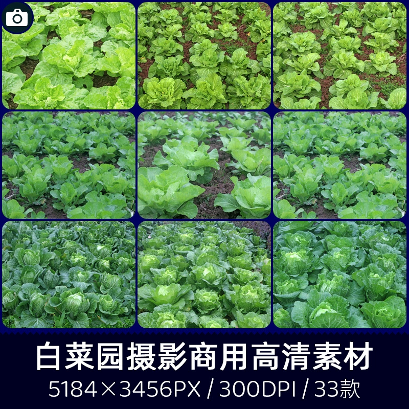 相片的尺寸-探索相片尺寸的奥秘：尺寸的含义、作用及不同场景下的需求