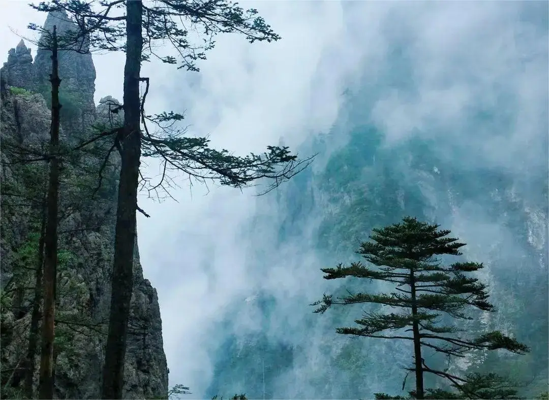 清晨的清霜：沉浸于大自然清新与宁静的心境体验