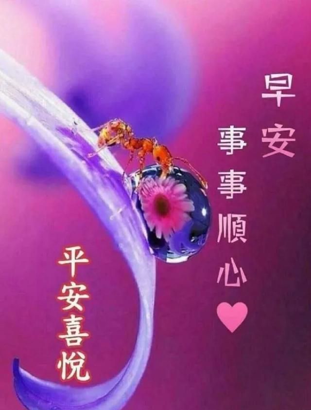 普通DiSCO洛天依_普通DiSCO李宇春_普通disco