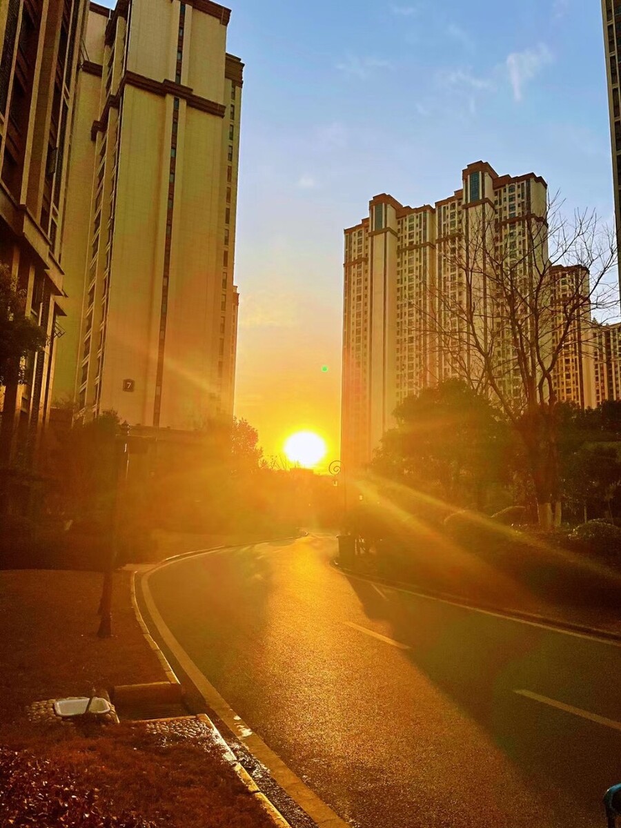 清晨音乐游戏手机_清音乐清晨_清晨音乐平台