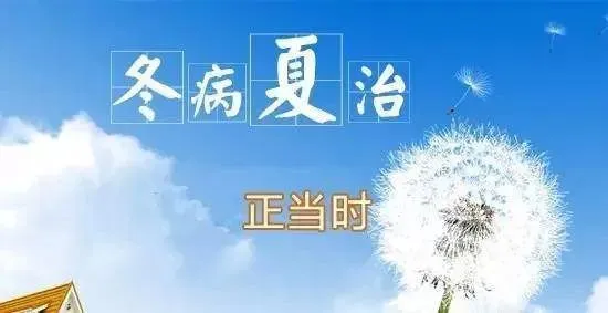 三伏养生指南_三伏天养生之道_三伏天养生小知识