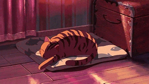 新海诚新片_她和她的猫新海诚_新海诚关于猫的电影