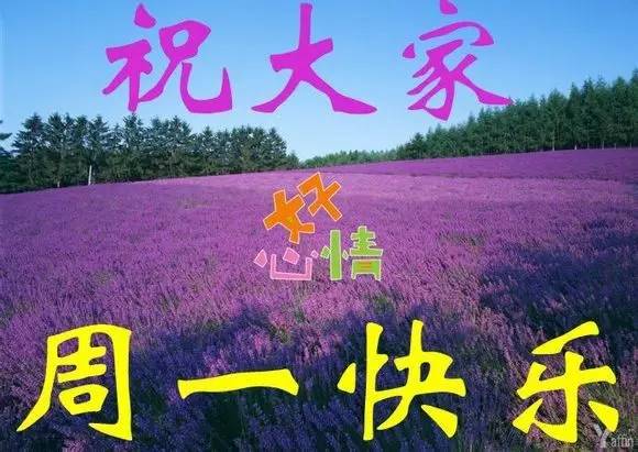 游戏去除广告_有广告的游戏怎么除掉_去掉手机上的游戏中心广告