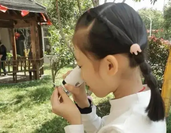 圣诞音乐游戏手机_圣诞节音乐游戏_圣诞音乐游戏活动教案