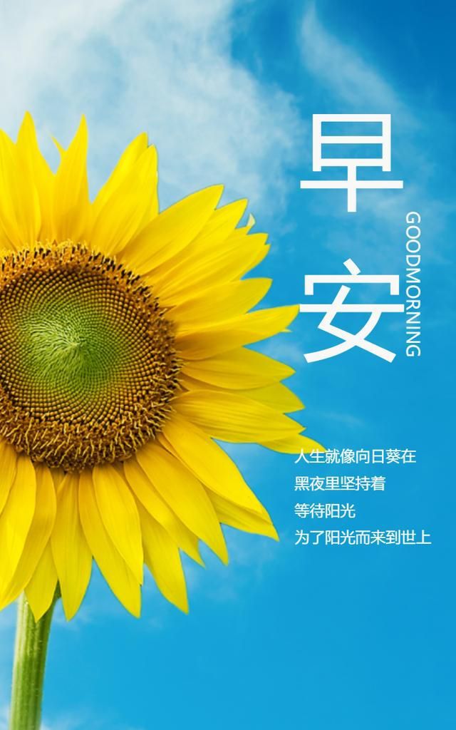 金句谷：智慧与温暖的世界，闪耀的金句点亮心灵之光