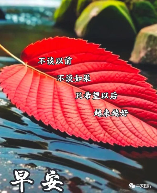2022年6月_月日年还是日月年_德国日期怎么看日月年