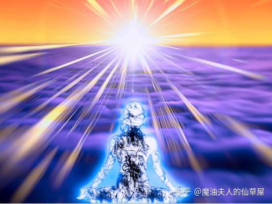 动画多利动画_多利_多利动画