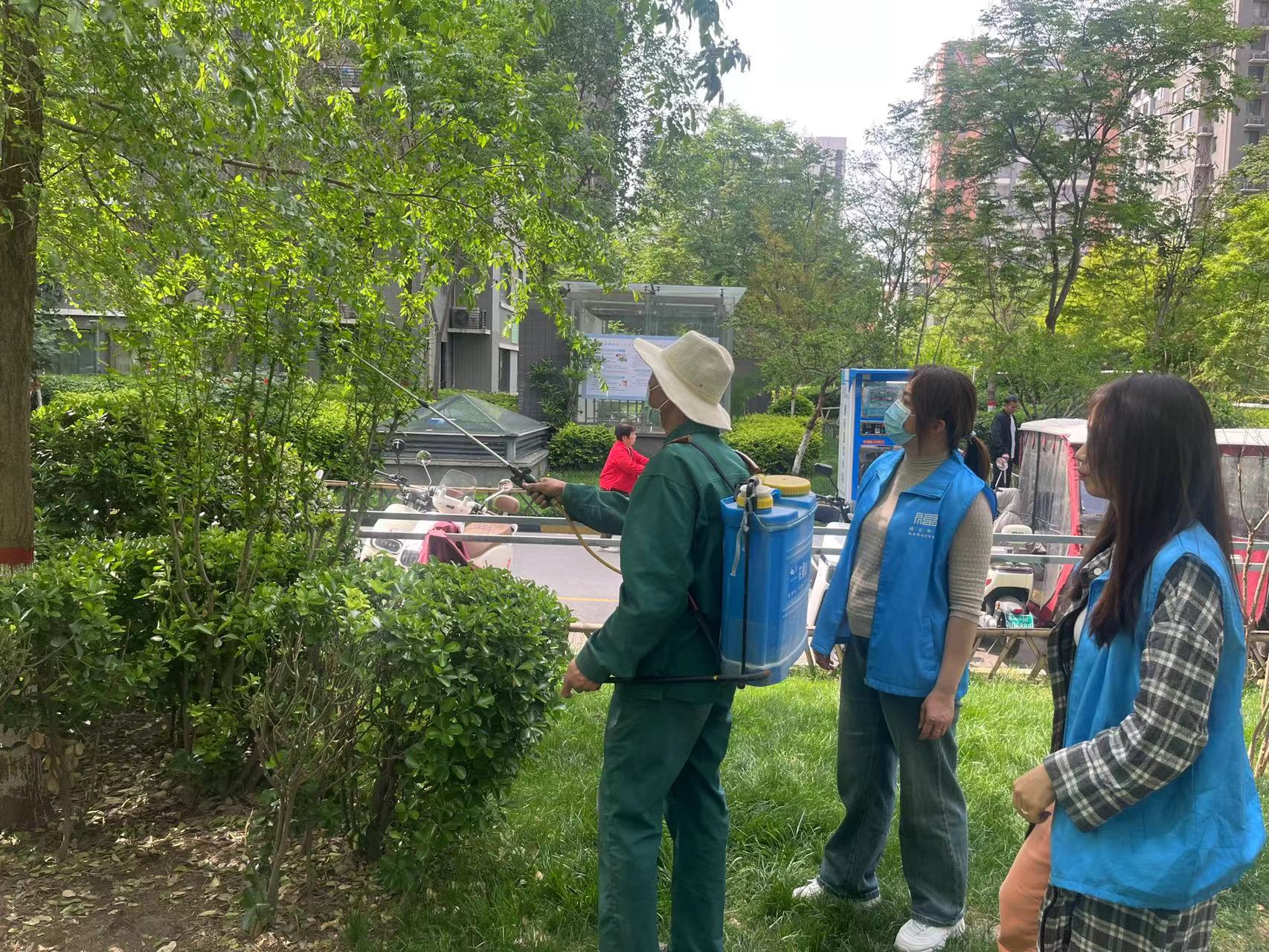 手机游戏小说_手机5399小游戏_手机游戏小窗口怎么设置