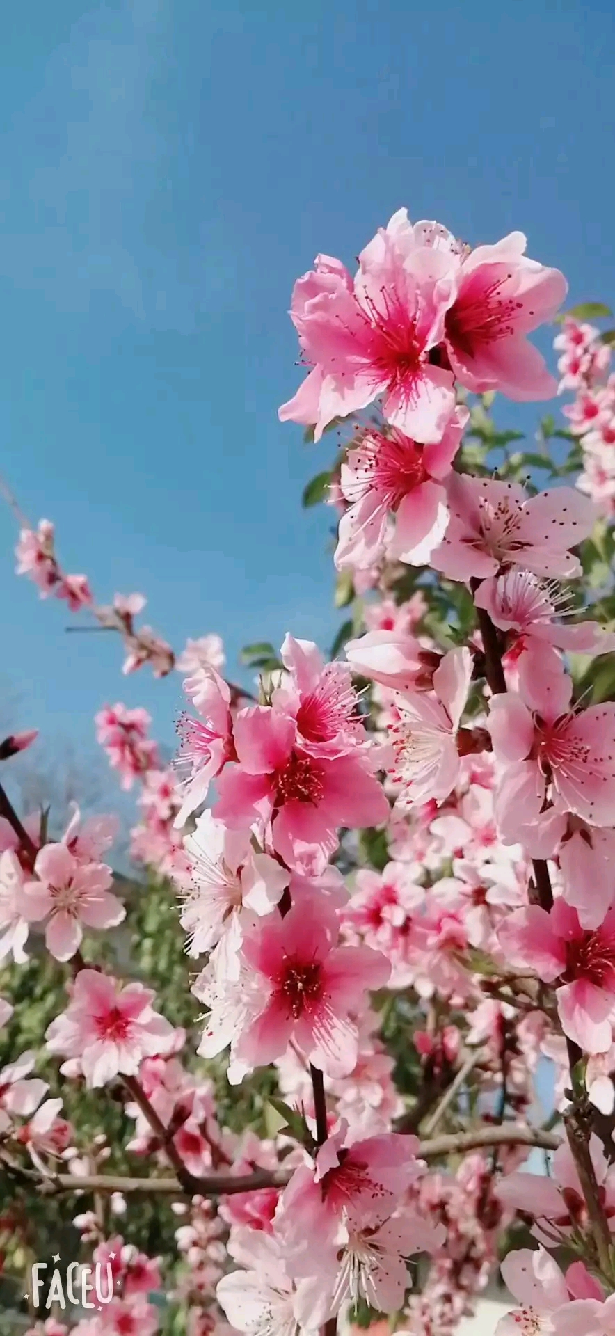 春分时气候有什么变化_春分节气的气候特点是什么样的_春分的气候特点