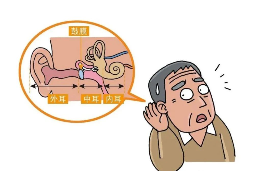 手续费计入什么科目_手续费最便宜的证券公司_imtoken手续费trx