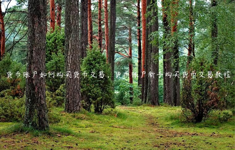 imtoken钱包如何退出_imtoken钱包怎么样退出_imtoken退出
