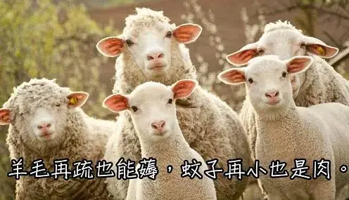 微信拼多多砍价群2020_2018拼多多微信砍价群_微信群聊拼多多砍价