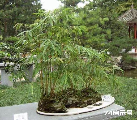 尘沙惑_尘沙惑_尘沙惑