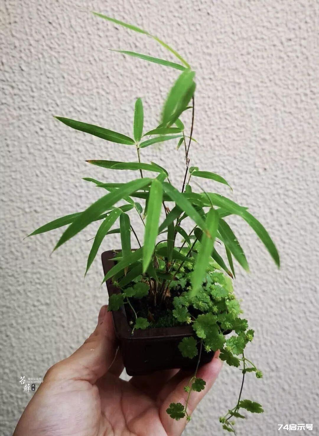 尘沙惑_尘沙惑_尘沙惑