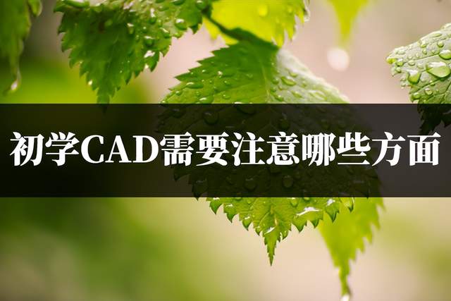 cad怎么缩小-CAD 软件中调整图形大小的技巧与艺术