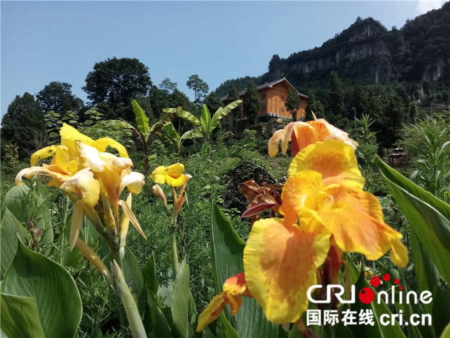 变态监狱_变态监狱_变态监狱