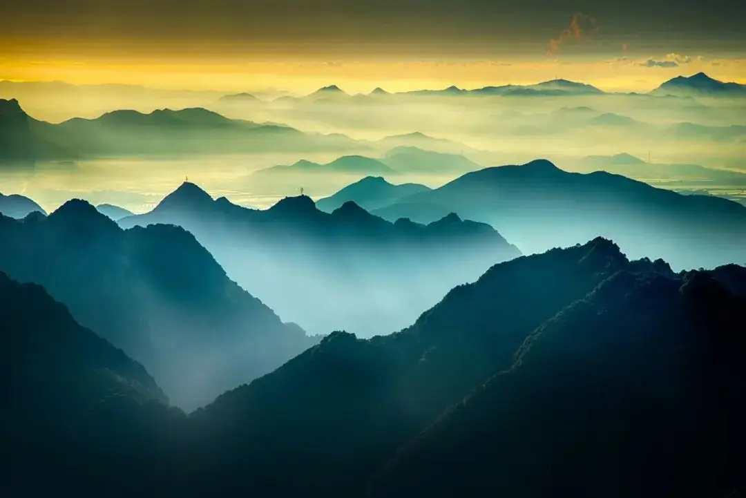 春日午后，漫步樱色之云下，感受浪漫与宁静