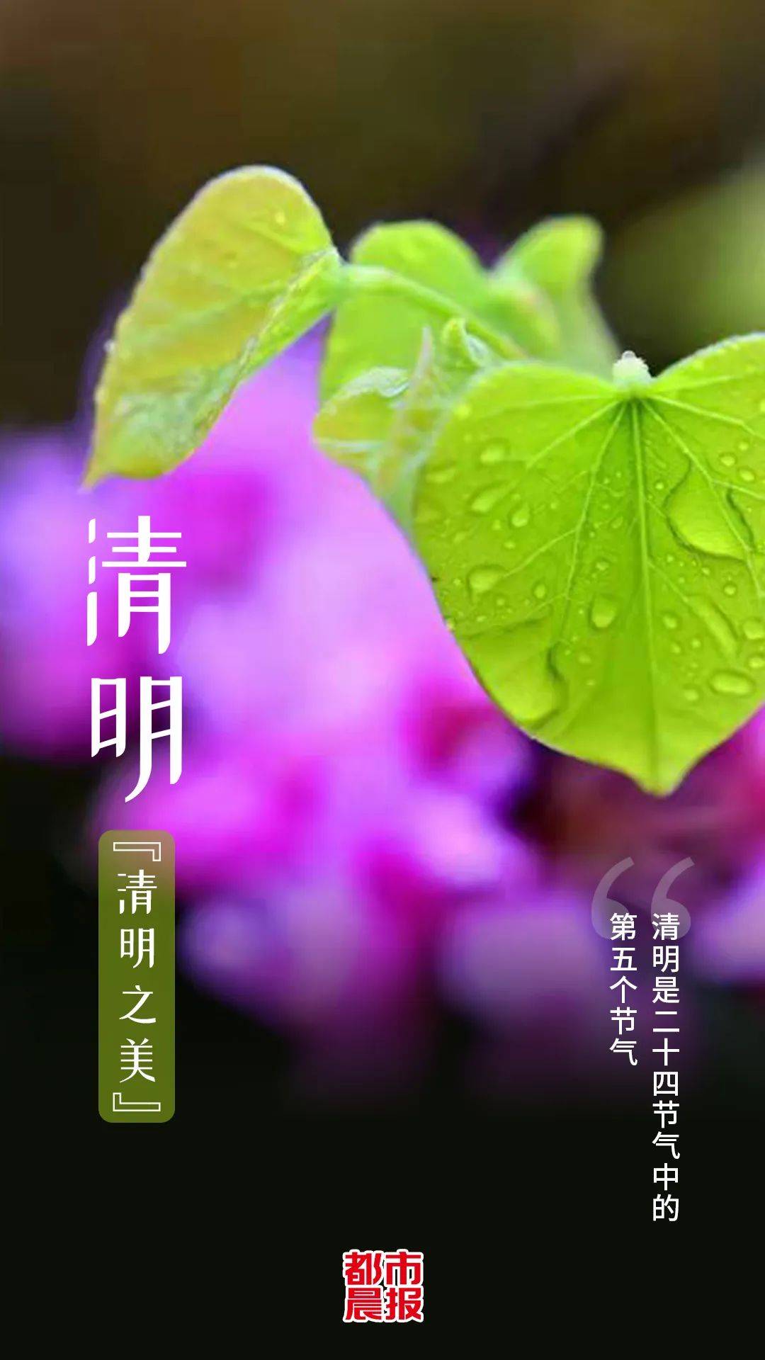 2021清明那天扫墓好_今年清明不适合扫墓_清明扫墓适合今年还是去年
