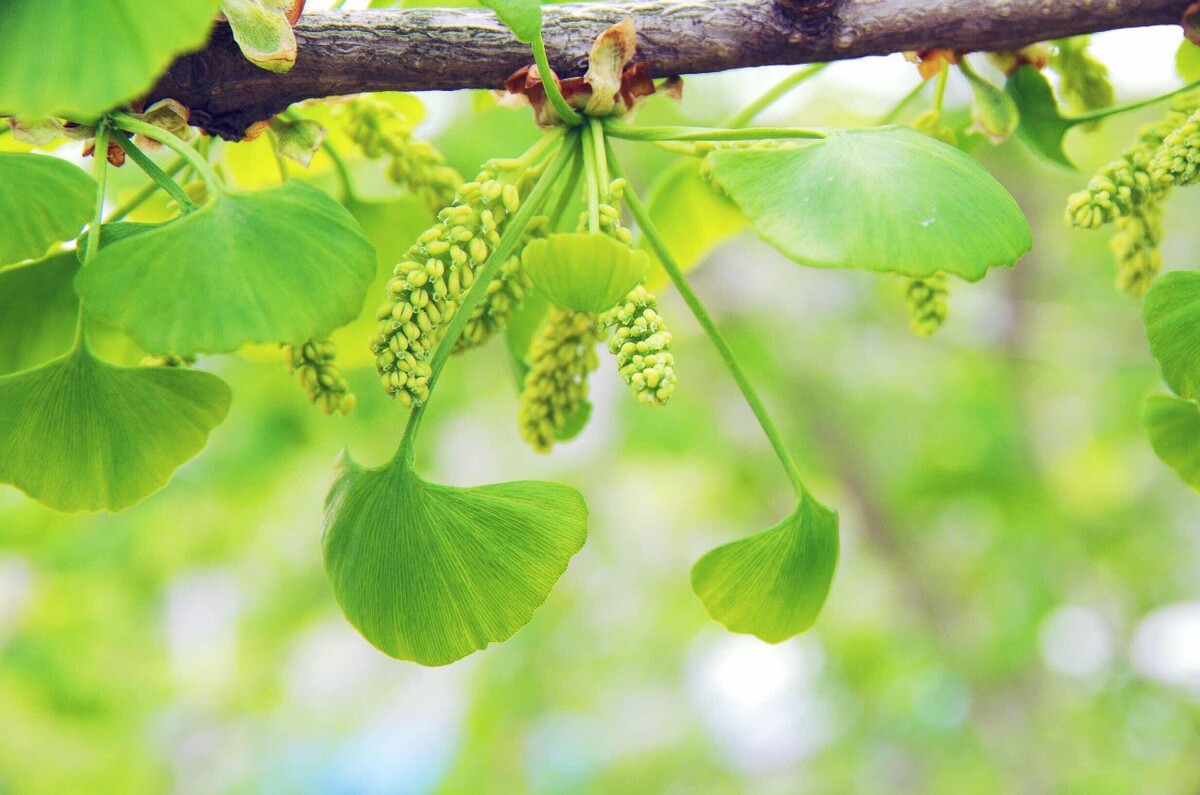 小母牛牛的歇后语_小母牛歇后语_小母牛歇后语表情包