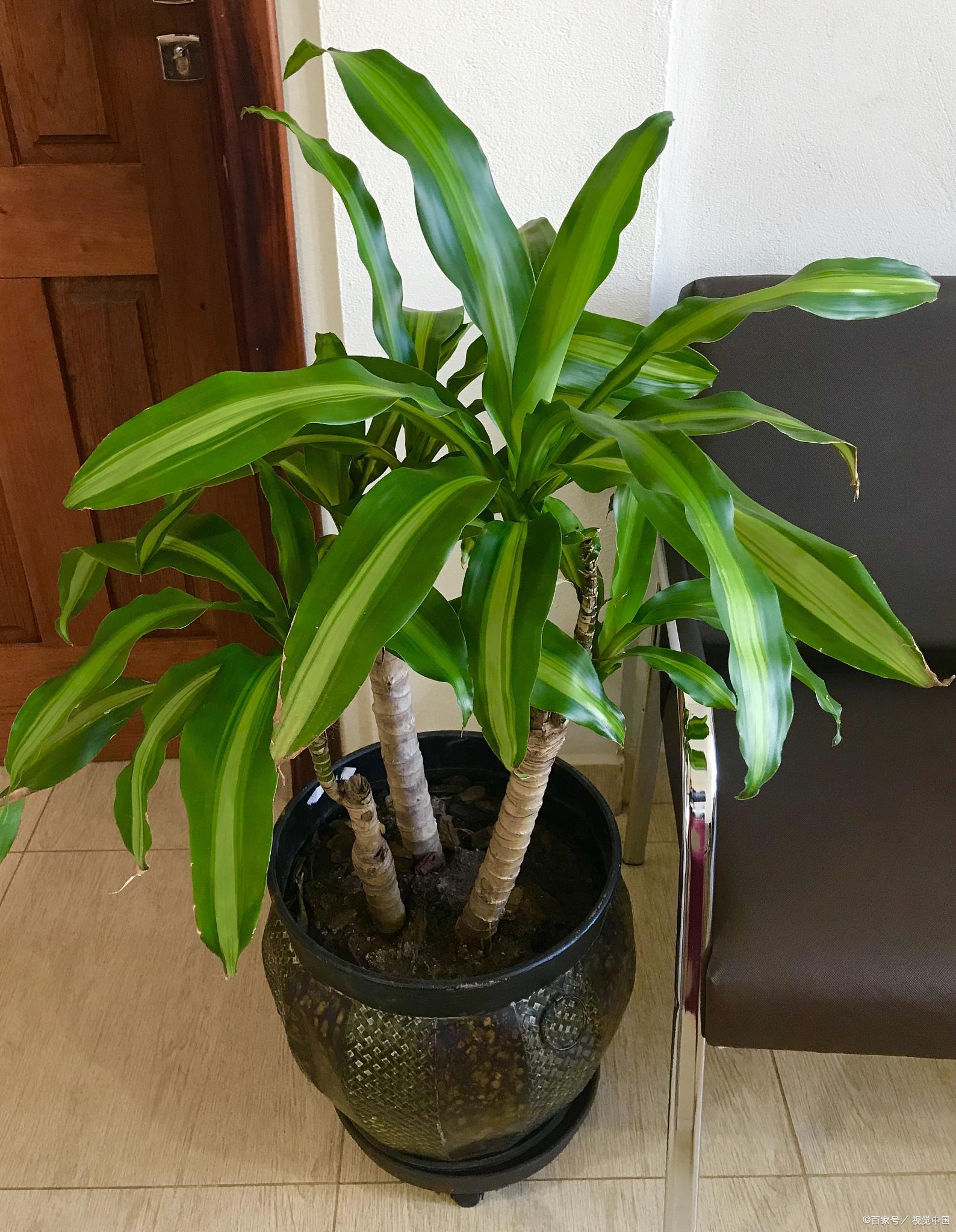 小狐狸钱包怎么创建新钱包了_狐狸钱包助记词_小狐狸钱包的作用