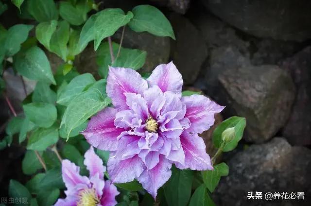 tp钱包怎么卖币视频_视频币值多少钱_视频货币