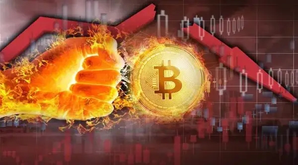 imtokeneos钱包_imtoken钱包原理_imtoken钱包的作用