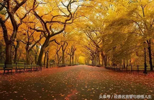 沙西镇沙里村_村上裏沙_沙里村的地名
