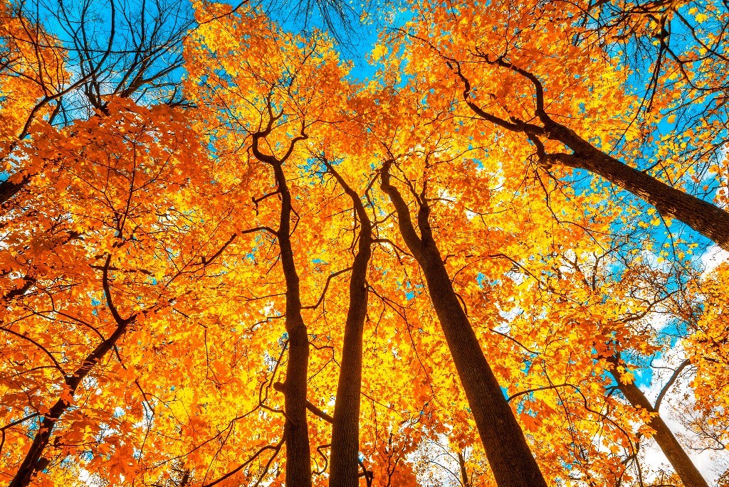 沙里村的地名_村上裏沙_沙西镇沙里村