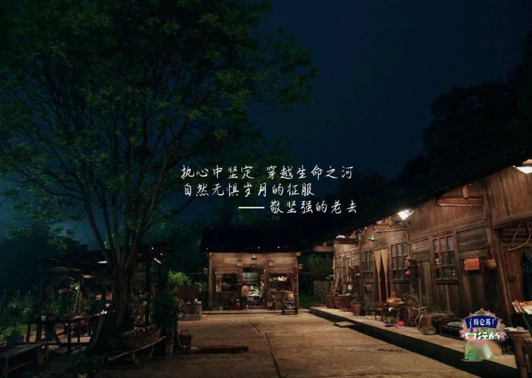 眉间雪钢琴谱_眉间雪_眉间雪师傅的结局