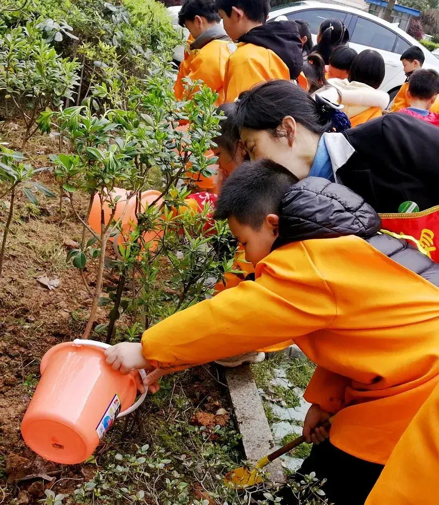 植树节的意义简短_植树节的意义_植树节植树意义