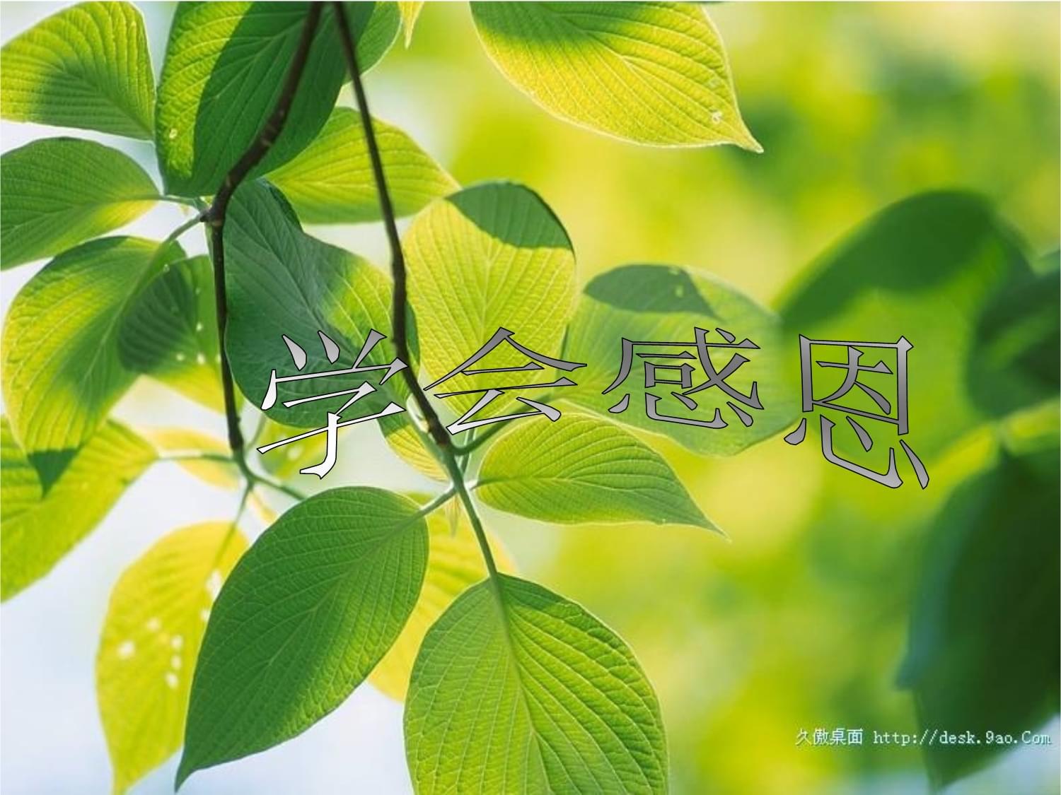 感恩节感恩什么_感恩节那天_哪天是感恩节