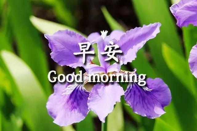 姬美玲_姬美雅_姬你太美