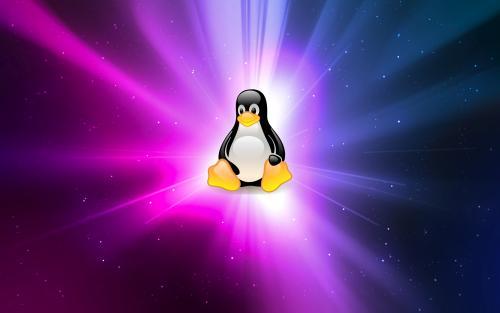 linux查看磁盘剩余空间_查看磁盘空间linux_查看磁盘剩余空间linux