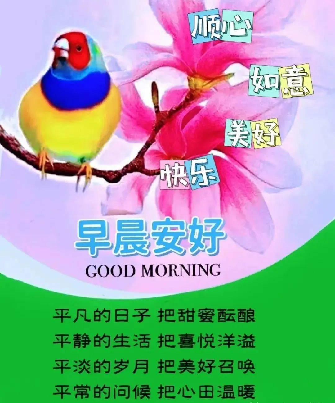 诹访子_诹访子_诹访子