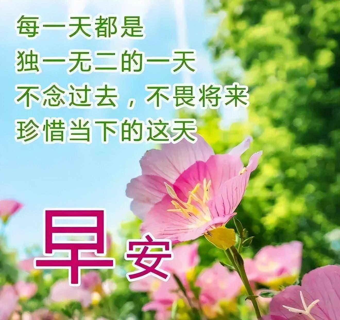 诹访子_诹访子_诹访子