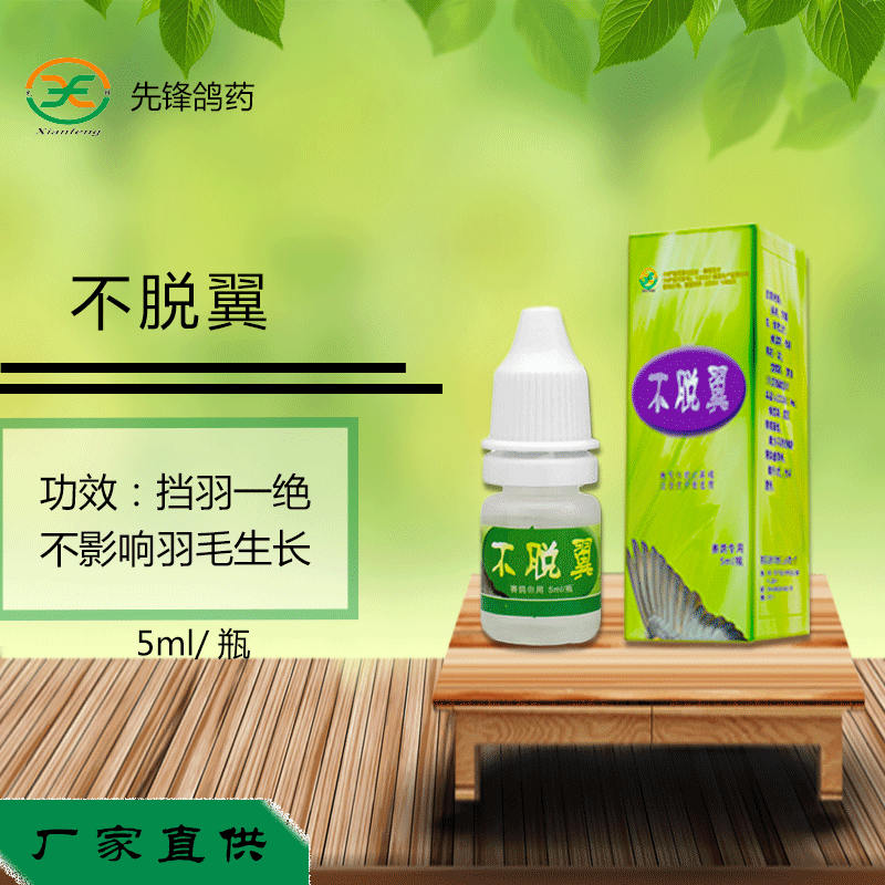 爱鸽者怎么用_爱鸽者app下载_爱鸽者智能科技鸽舍