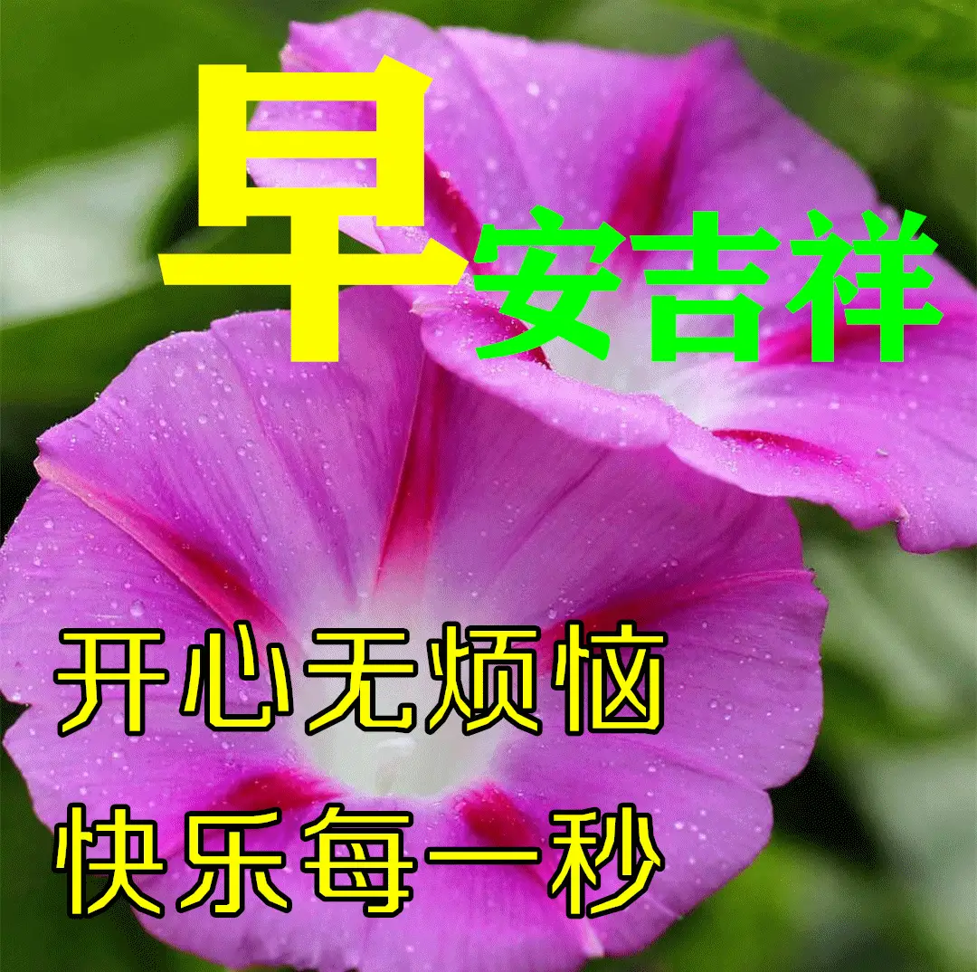 清明节月是什么时候_清明节的月亮是什么月_清明节总是4月5日吗