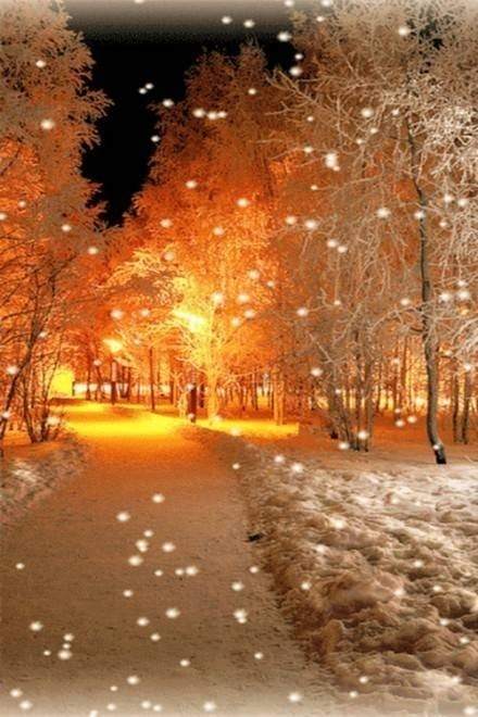 风花雪月wiki_风花雪月winky诗琴谱_风花雪月是什么意思