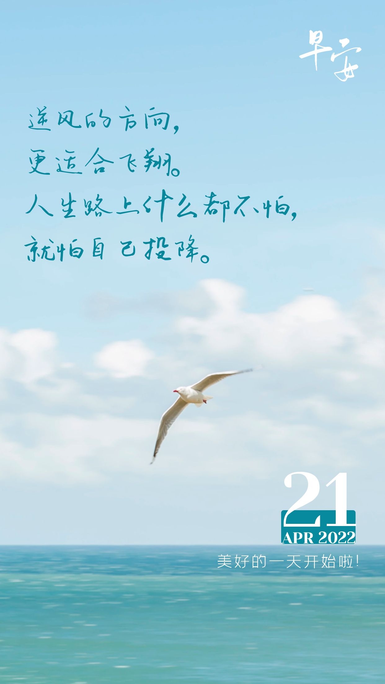 理央_央理论_内田理央写真