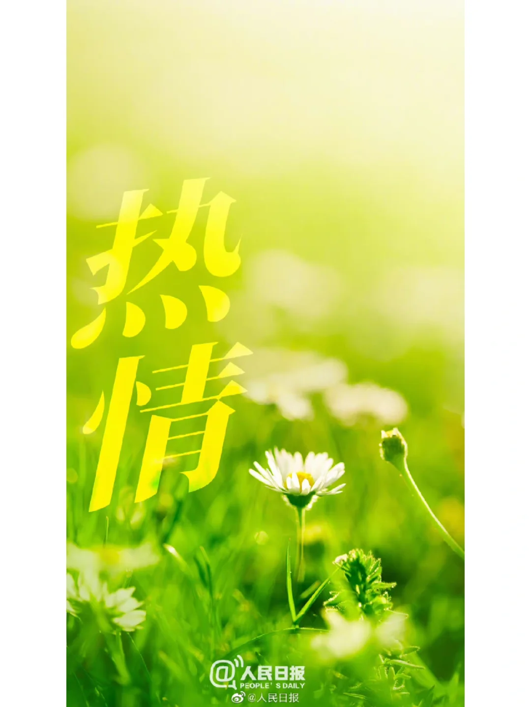 西宫硝子_西宫硝子和石田将也在一起了吗_西宫硝子高清头像