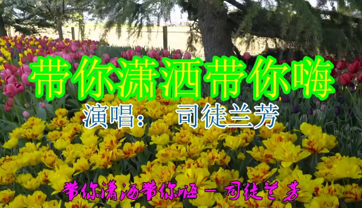 超市过年歌曲_过年的歌曲_过年歌曲大全歌名