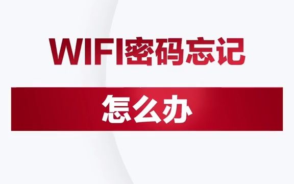 如何让手机显示wifi密码-忘记 WiFi 密码怎么办？手机显示 WiFi 密码教程来啦