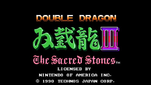 任天堂switch双截龙_任天堂双截龙游戏手机_ns双截龙怎么双人玩
